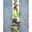 Naked Beasts Lamb Ears All Natural Dog Treats - Talis Us