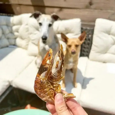 Naked Beasts Shrimp Head On All Natural Dog Treats - Talis Us
