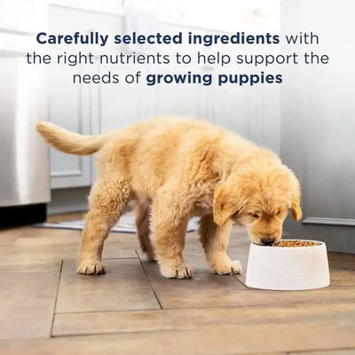 Natural Balance Pet Foods LID Chicken and Brown Rice Puppy Dry Dog Food Natural Balance CPD
