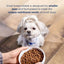 Natural Balance Pet Foods LID Lamb and Brown Rice Small Breed Dry Dog Food Natural Balance CPD