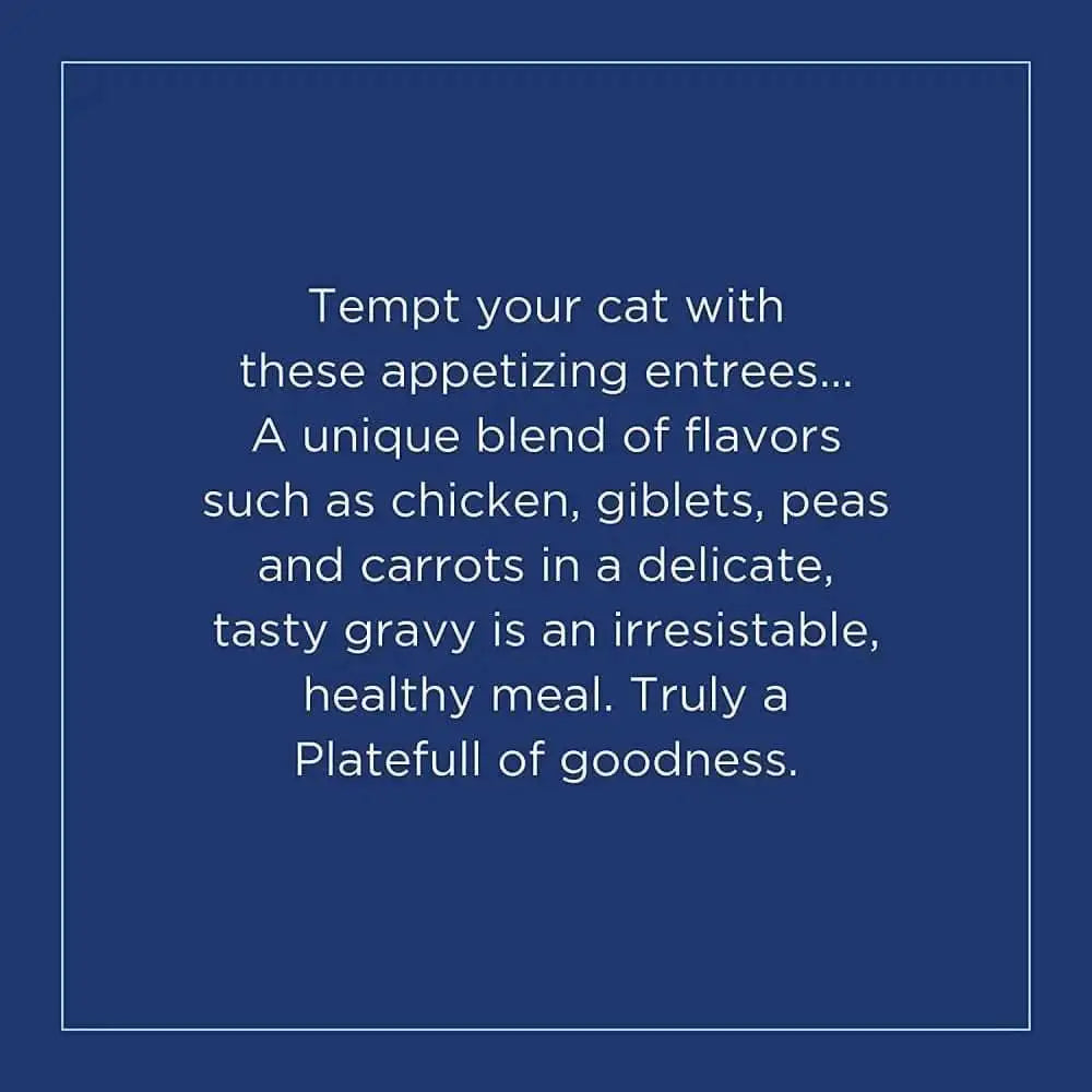 Natural Balance Pet Foods Platefulls Chicken & Pumpkin Formula in Gravy Cat Wet Food 3 oz, 24 pk Natural Balance CPD