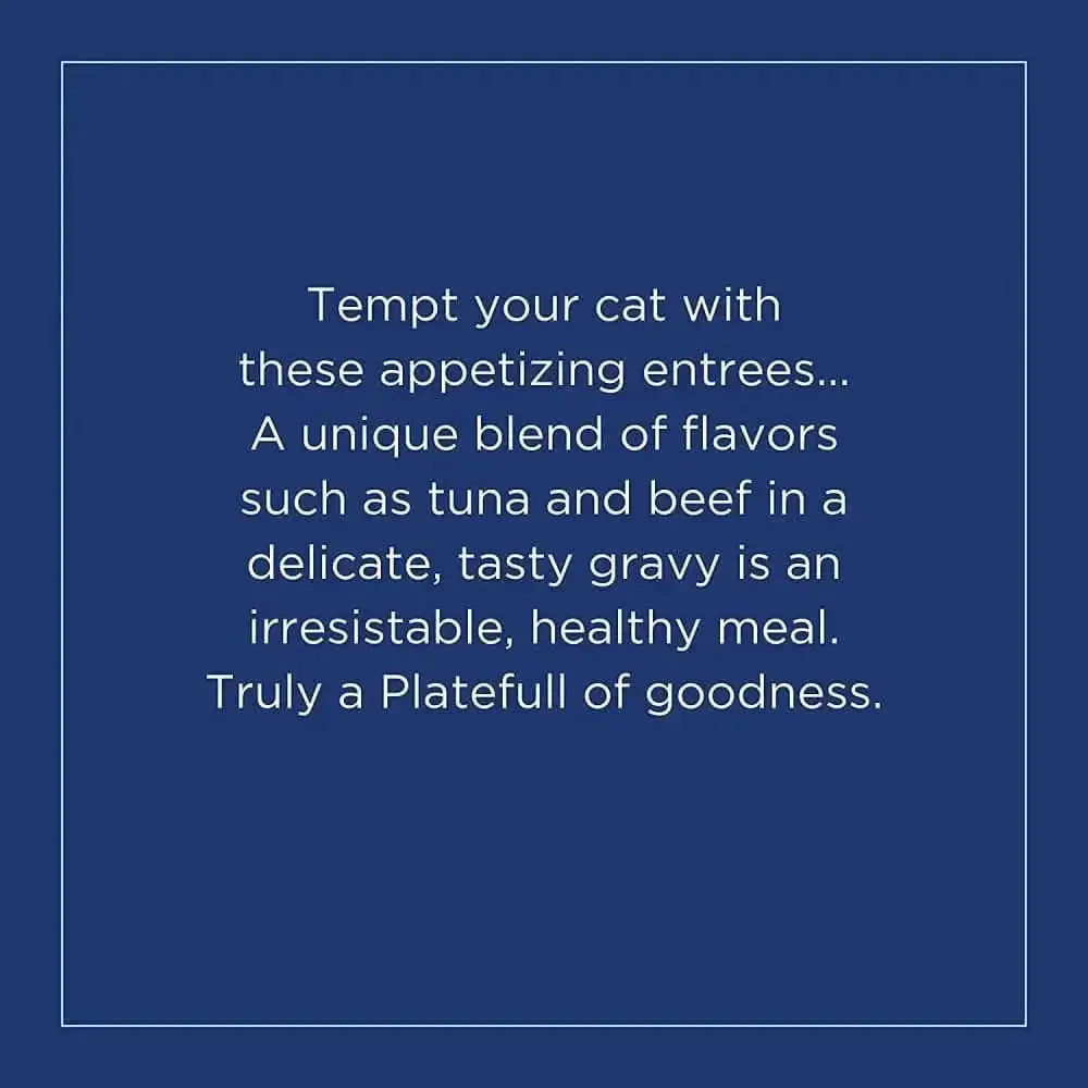 Natural Balance Pet Foods Platefulls Indoor Chicken & Chicken Liver Formula Cat Wet Food 3 oz, 24 pk Natural Balance CPD