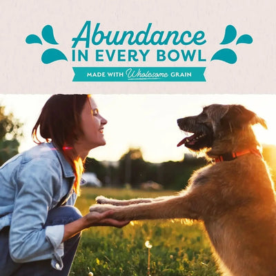 Natural Balance Pet Foods Ultra Premium Chicken Wet Dog Food 12ea/13 oz - Talis Us