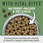 Natural Balance Specialized Nutrition Digestive & Immune Health Adult Lamb & Oatmeal Dry Dog Food - Talis Us