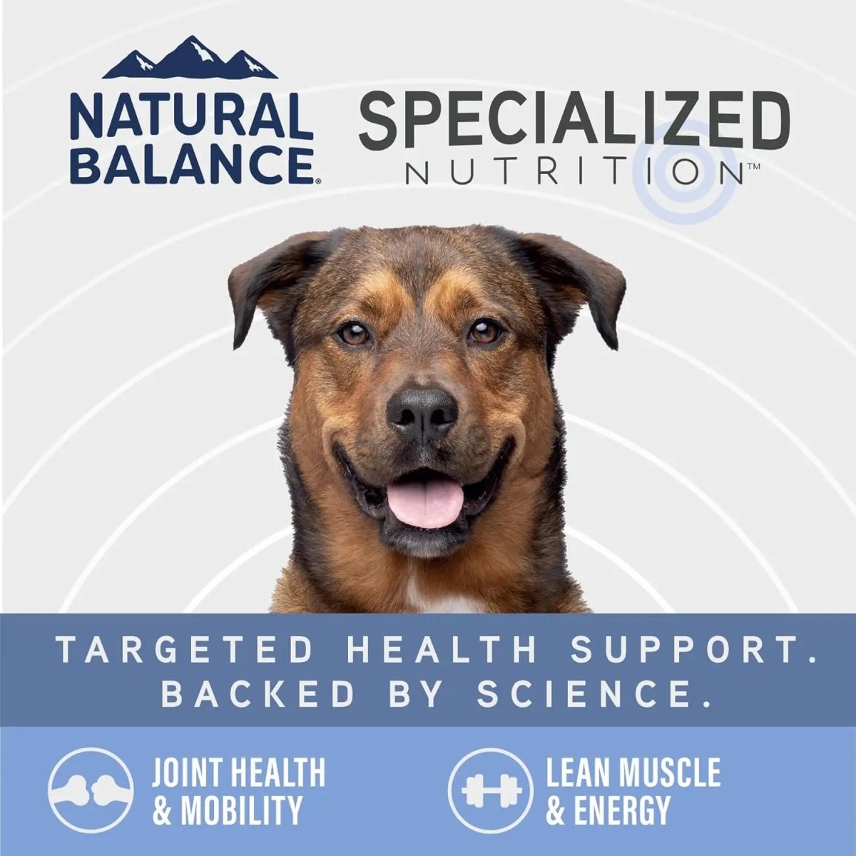 Natural Balance Specialized Nutrition Joint & Muscle Health Adult Chicken & Brown Rice Formula Wet Dog Food 12ea/12.7 oz - Talis Us