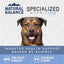 Natural Balance Specialized Nutrition Joint & Muscle Health Chicken & Oatmeal Dry Dog Food - Talis Us