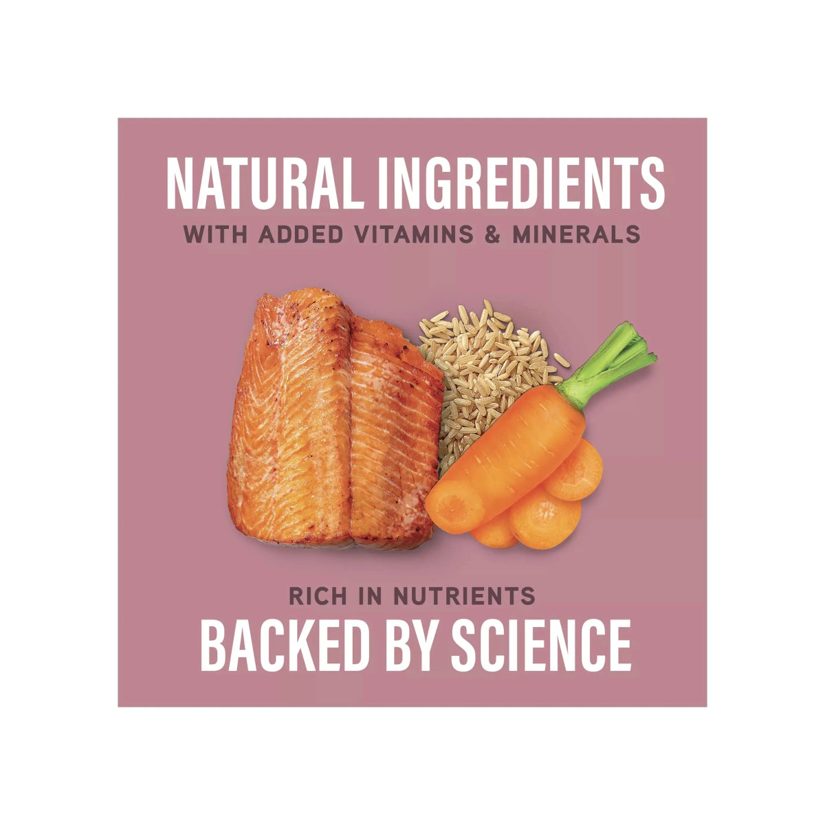Natural Balance Specialized Nutrition Sensitive Skin & Stomach Formula Adult Salmon & Brown Rice Wet Dog Food - Talis Us