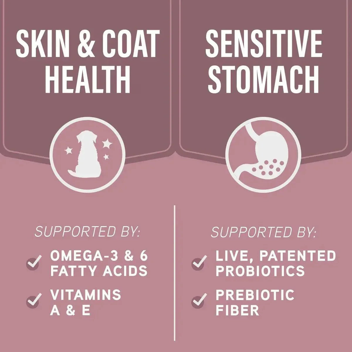 Natural Balance Specialized Nutrition Sensitive Skin & Stomach Salmon & Oatmeal Dry Dog Food - Talis Us