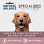 Natural Balance Specialized Nutrition Sensitive Skin & Stomach Salmon & Oatmeal Dry Dog Food - Talis Us