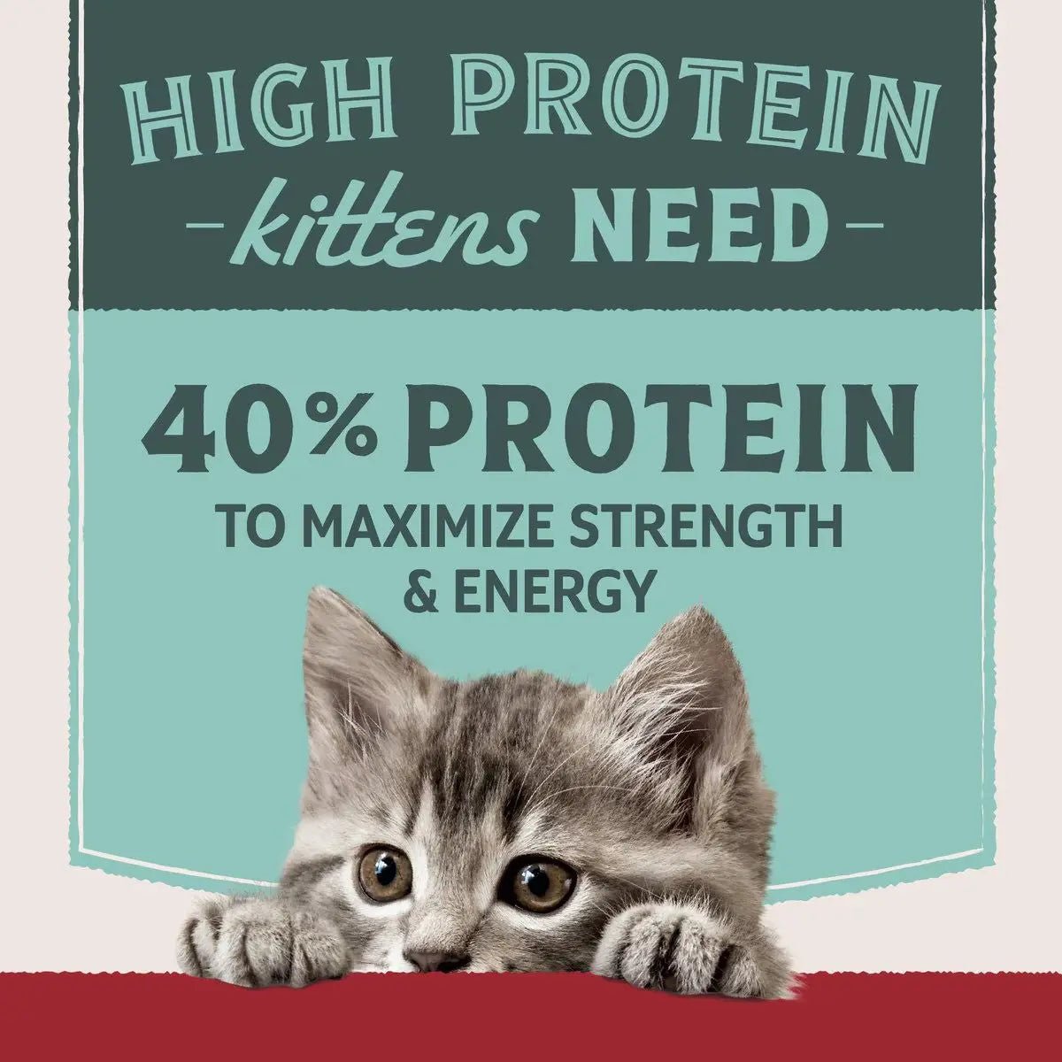 Natural Balance Ultra Protein Chicken Meal Recipe Dry Cat Food - Talis Us