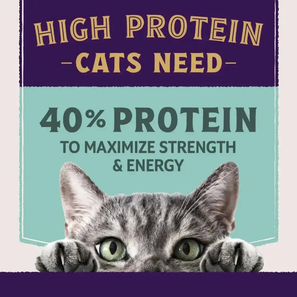 Natural Balance Ultra Protein Chicken Meal Recipe Kitten Dry Cat Food - Talis Us