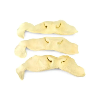 Natural Beef Snouts Dog Chew Treats 10 Units - Talis Us