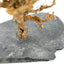 Natural bush on slate Decor for Formicarium - Talis Us