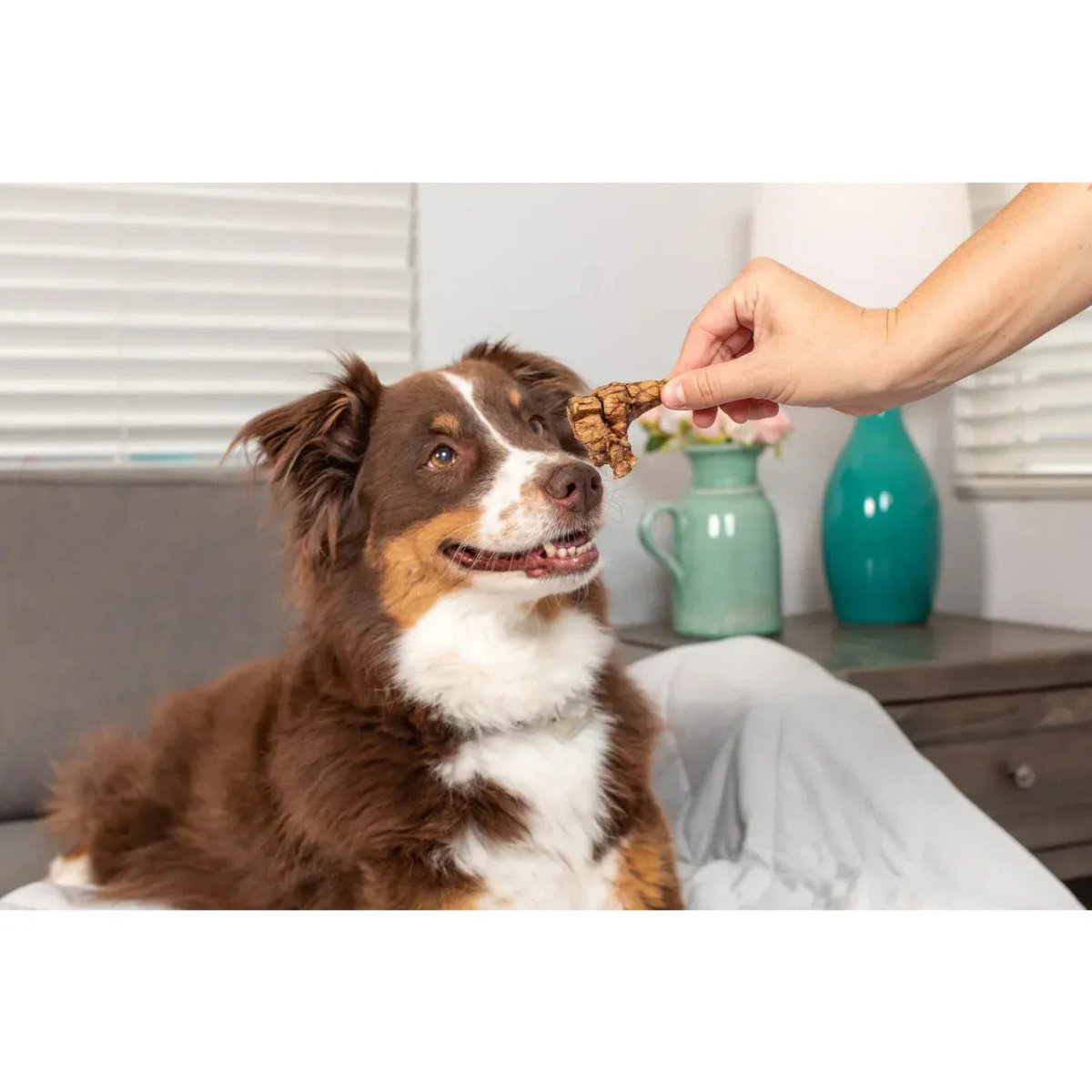 Natural Cravings Beef Roaster Bites for Dogs - Talis Us