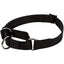No! Slip® Martingale Adjustable Dog Collar - Talis Us
