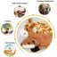 Nocciola Crinkle Dog Toy Set – 5pcs Squeaky Fun for Dogs of All Sizes - Talis Us