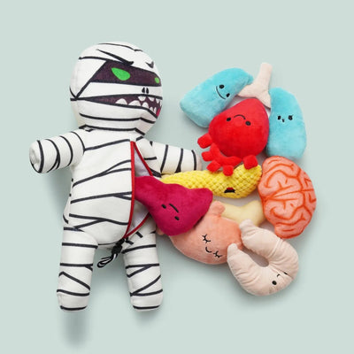 Nocciola Durable, Interactive Plush Toy for Dogs with 8 Organ Squeakers - Talis Us