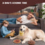 Nocciola Food - Themed Puzzle Dog Toys with Crinkle and Squeak Sounds - Talis Us