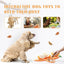 Nocciola Interactive Tangerine Plush Dog Toys with Hidden Surprises - Talis Us