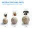 Nocciola Wobble Giggle Ball - Interactive Toy for Dogs of All Sizes - Talis Us