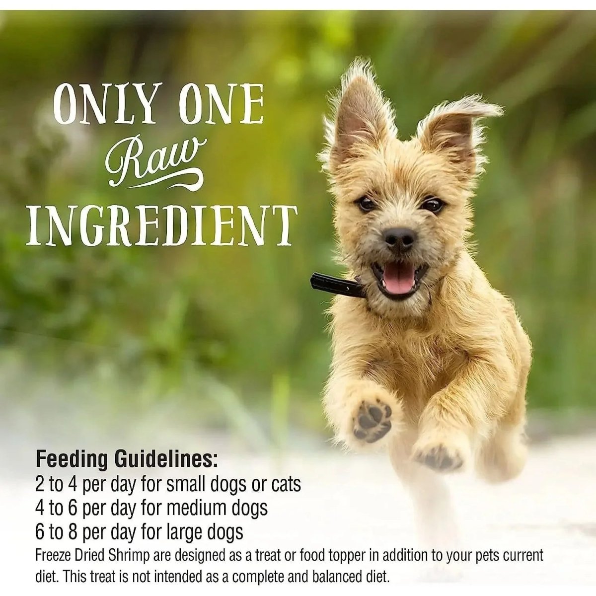 Northwest Naturals Shrimp Freeze - Dried Treats for Dogs and Cats 1oz - Talis Us