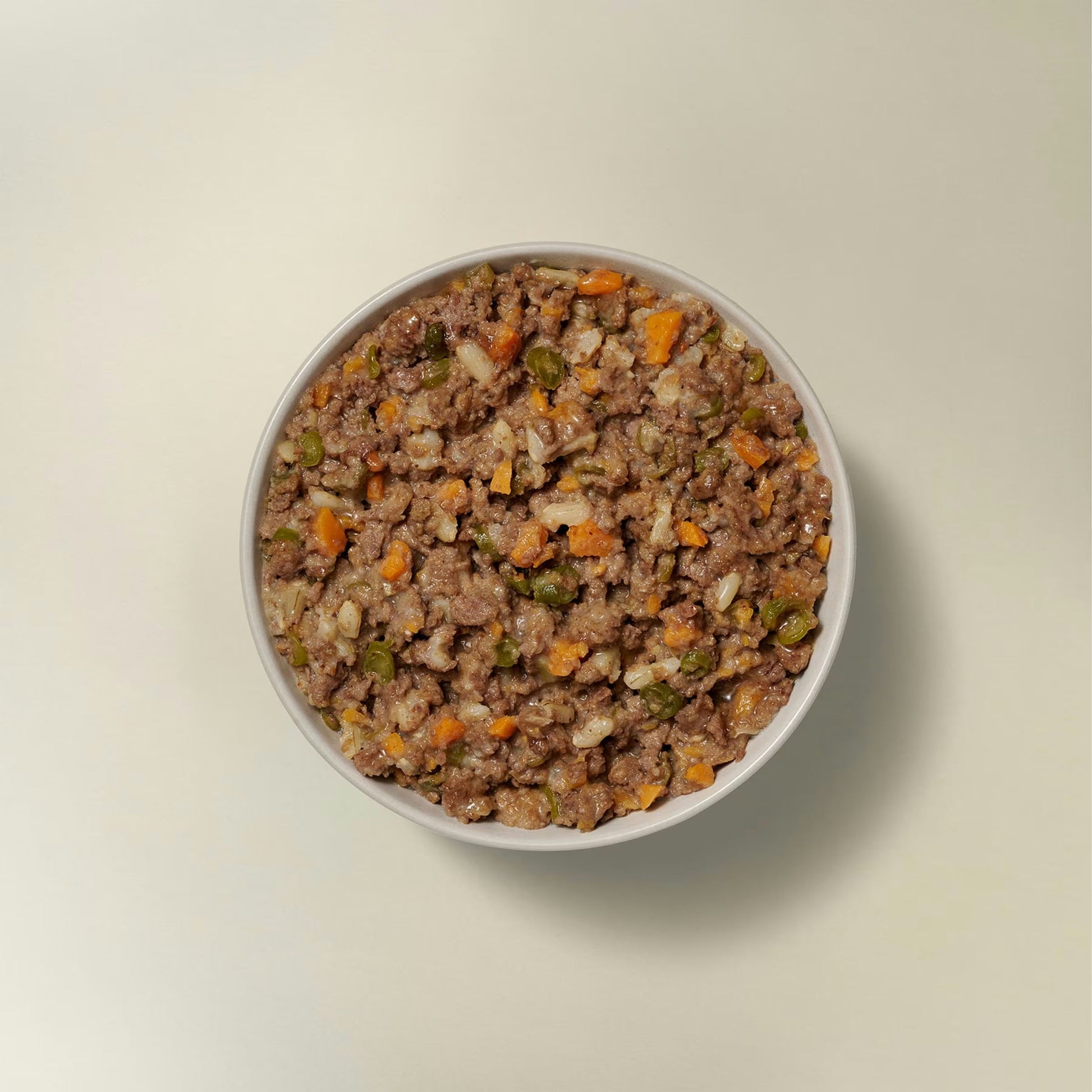 Now Fresh beef and rice wet dog food in a bowl, featuring chunks of meat and vegetables for dogs