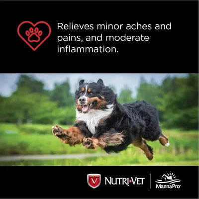 Nutri - Vet K9 Aspirin Liver Chewables Small Dogs 100 ct - Talis Us