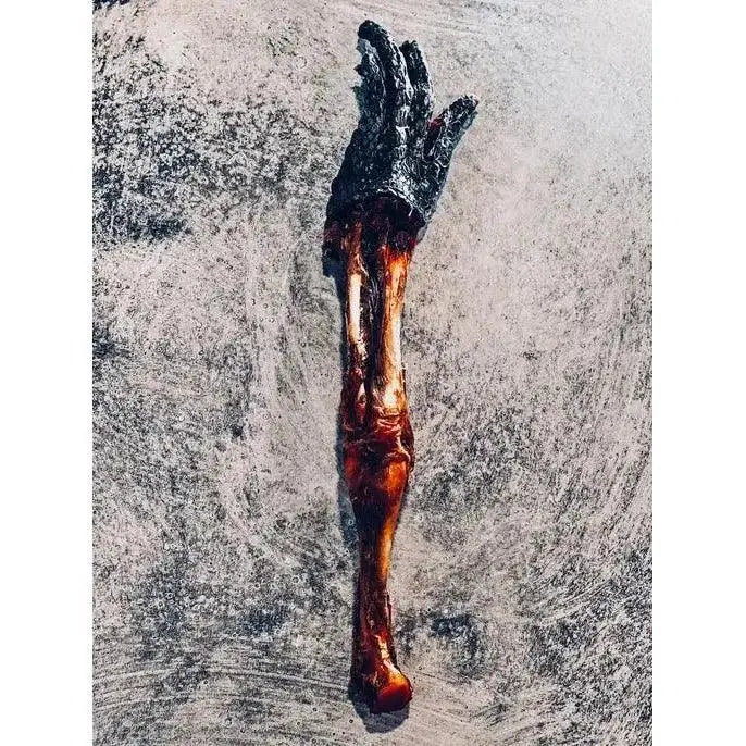 Nutrigator® Farm - Raised Alligator Feet Hypoallergenic Dog Treats Bulk - Talis Us