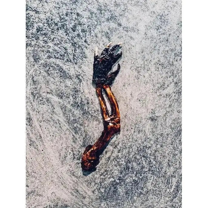 Nutrigator® Farm - Raised Alligator Feet Hypoallergenic Dog Treats Bulk - Talis Us