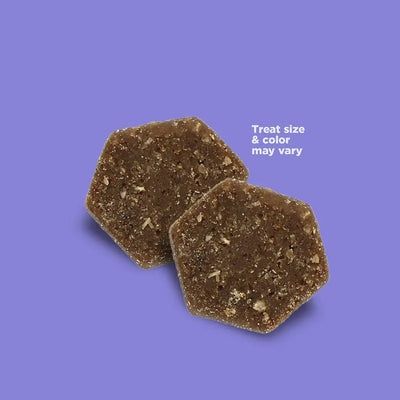 NutriSource Big Bites Grain Free Beef Dog Treats 14 oz - Talis Us