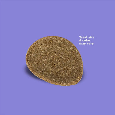 NutriSource Element Series Crispy Crispers Dog Treats 4 oz - Talis Us