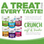 NutriSource Grain Free Biscuits Dog Treats 14 oz - Talis Us