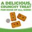 NutriSource Grain Free Biscuits Dog Treats 14 oz - Talis Us