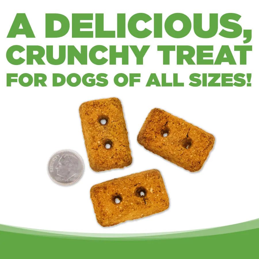 NutriSource Grain Free Biscuits Dog Treats 14 oz - Talis Us