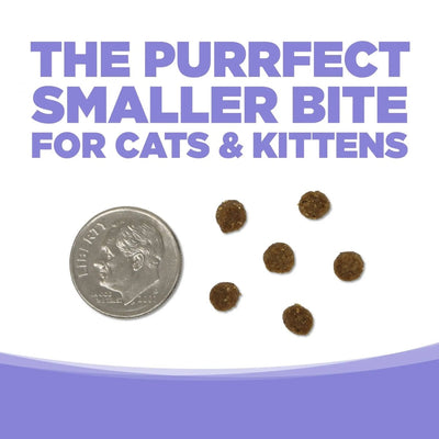 NutriSource Grain Free Chicken & Salmon Select Cat & Kitten Dry Cat Food - Talis Us