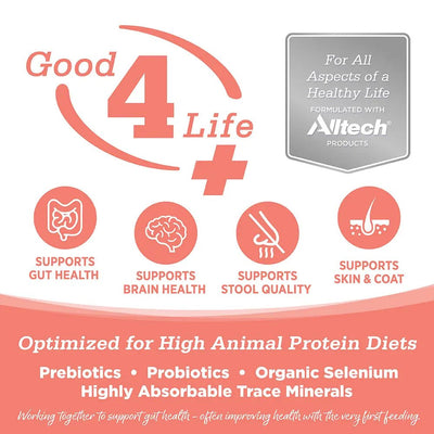 NutriSource Grain Free Ocean Select Cat & Kitten Dry Cat Food - Talis Us