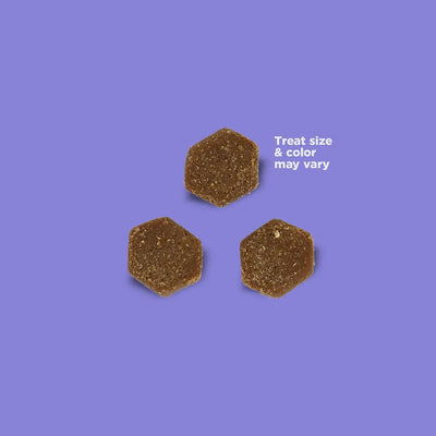 NutriSource Little Bites Dog Treats 6 oz - Talis Us