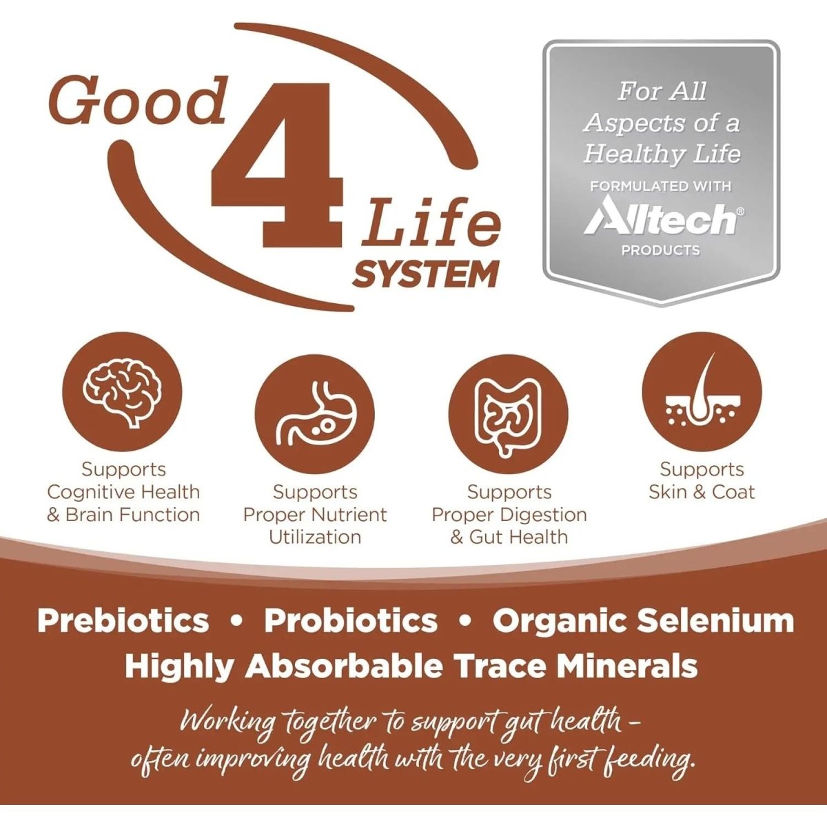 NutriSource PureVita Grain Free All Life Stages Kangaroo & Green Lentils Entree Dog Food - Talis Us