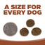 NutriSource PureVita Grain Free All Life Stages Kangaroo & Green Lentils Entree Dog Food - Talis Us