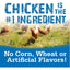 NutriSource Soft & Tender Dog Treats - Talis Us