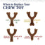 Nylabone Gourmet Style Strong Chew Wishbone Dog Toy Wishbone, Nylabone