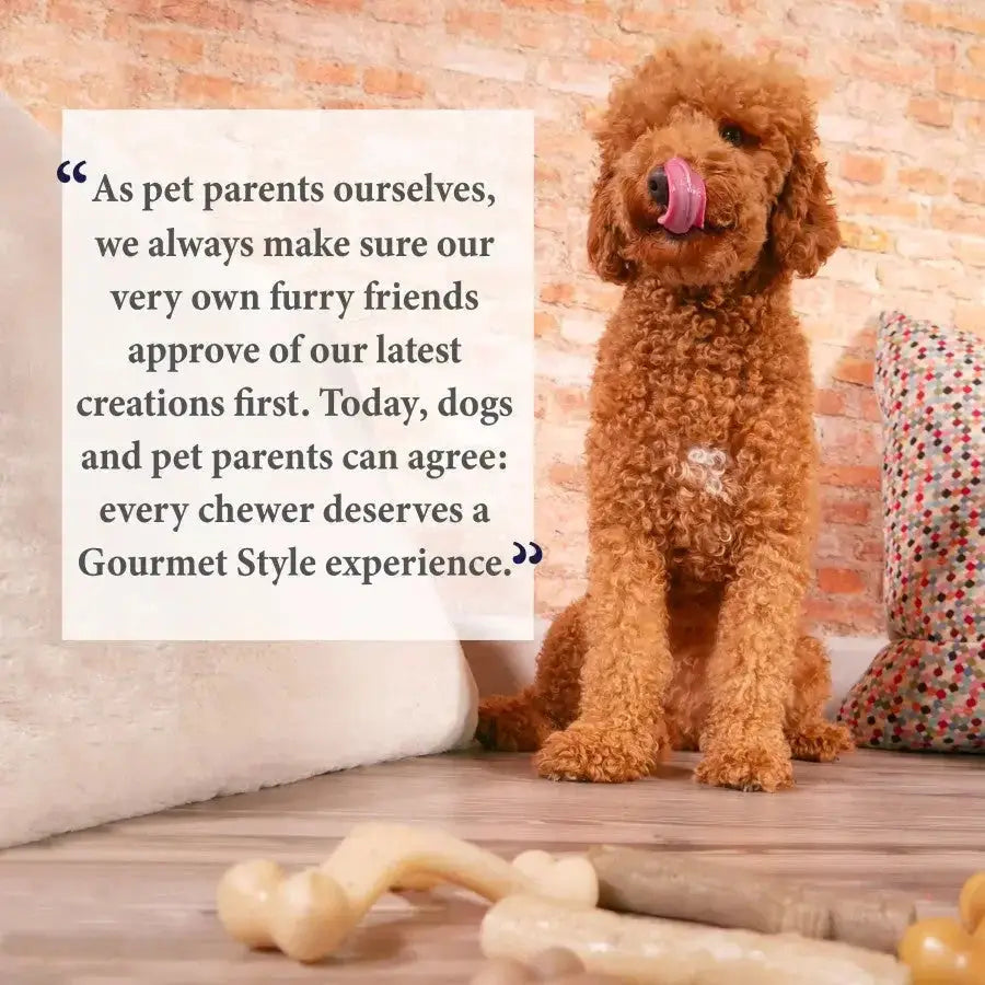 Nylabone Gourmet Style Strong Chew Wishbone Dog Toy Wishbone, Nylabone