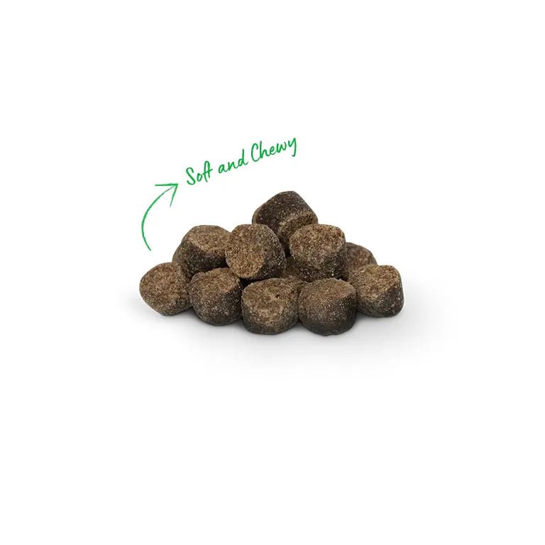 Open Farm Be Good Bites Turkey Recipe Soft & Chewy Treats 6 oz - Talis Us