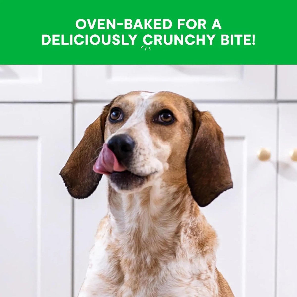 Open Farm Better Biscuits Peanut Butter & Banana Oven Baked Dog Treats 8 oz - Talis Us