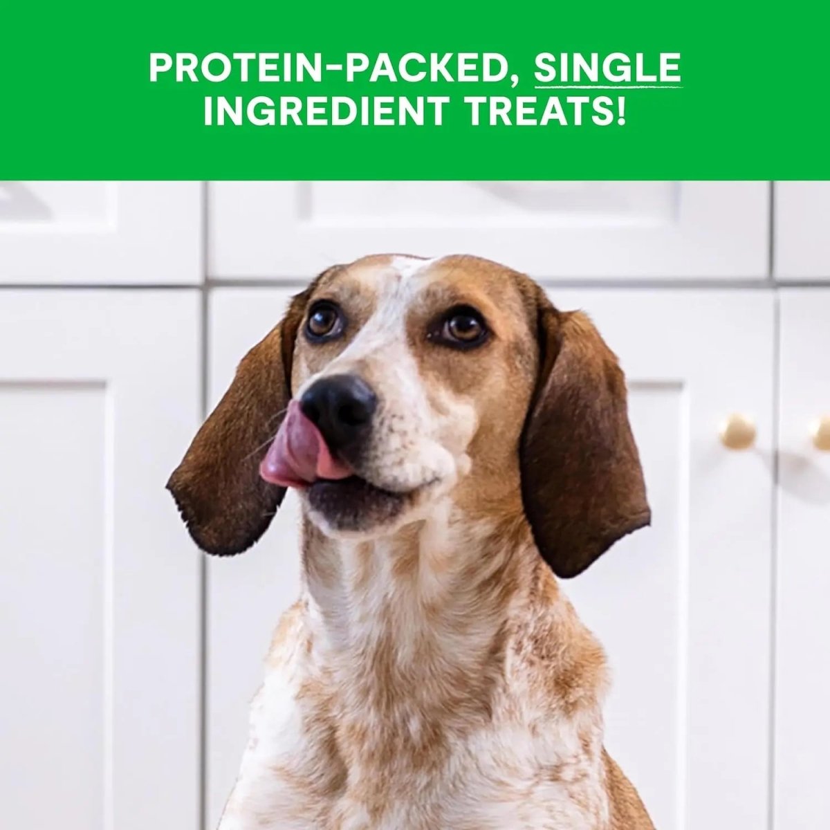 Open Farm Freeze Dried Raw Single Ingredient Beef Liver Cubes Dog Treats 3 oz - Talis Us