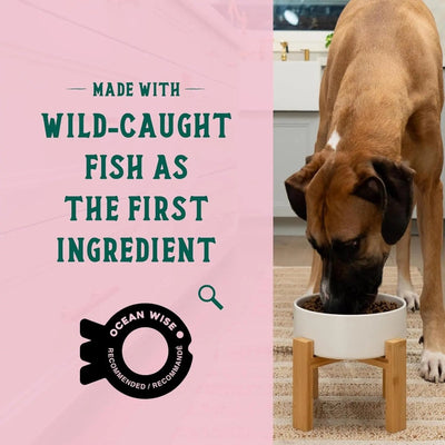Open Farm GoodBowl Wild - Caught Salmon and Brown Rice Dry Dog Food - Talis Us