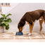 Open Farm New Zealand Venison and Ancient Grains Dry Dog Food - Talis Us