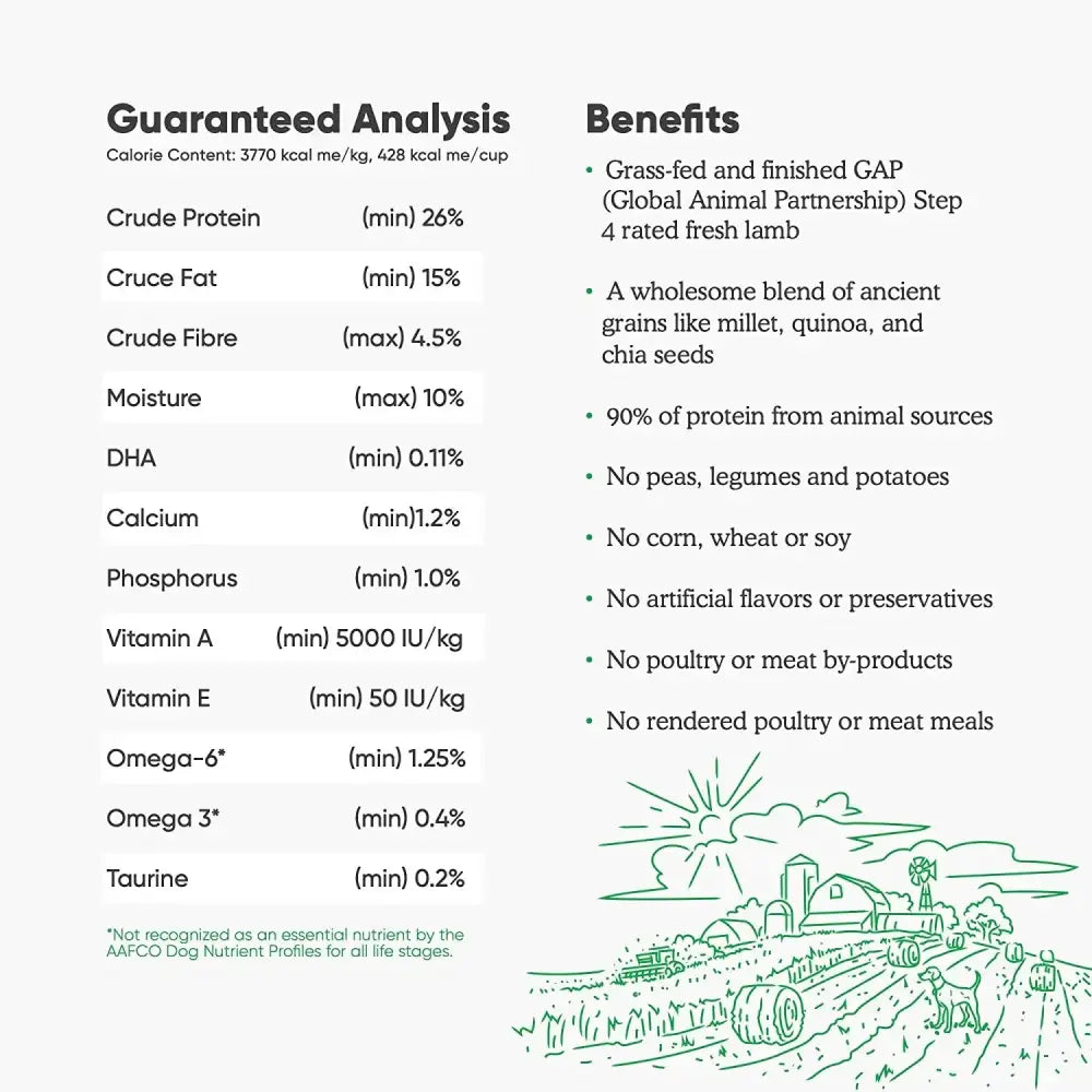 Open Farm® Pasture-Raised Lamb & Ancient Grain Dry Dog Food Open Farm