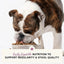 Open Farm Veterinarian Formulated Kibble Pollock & Oatmeal Digestive Health Dog Food - Talis Us