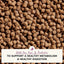 Open Farm Veterinarian Formulated Kibble Pollock & Oatmeal Digestive Health Dog Food - Talis Us